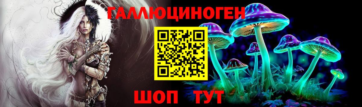 Мурино  Галлюциногенные грибы прущие грибы  что такое наркотик  Галлюциногенные грибы GOLDEN TEACHER  Вход с VPN 
